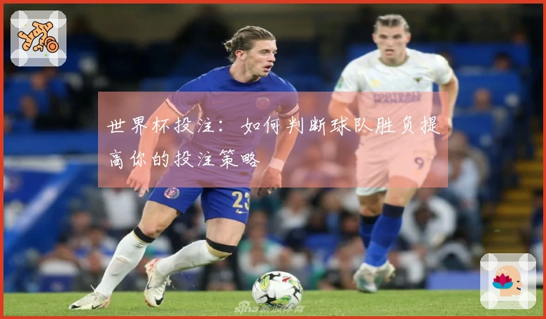 世界杯投注:如何判断球队胜负提高你的投注策略