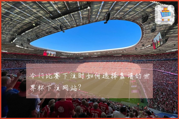 冷门比赛下注时如何选择靠谱的世界杯下注网站？
