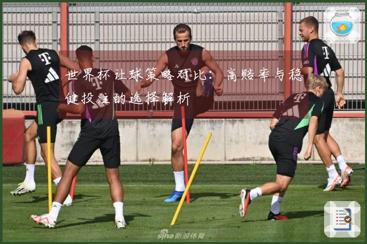 世界杯让球策略对比：高赔率与稳健投注的选择解析