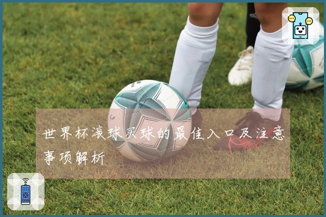 世界杯滚球买球的最佳入口及注意事项解析