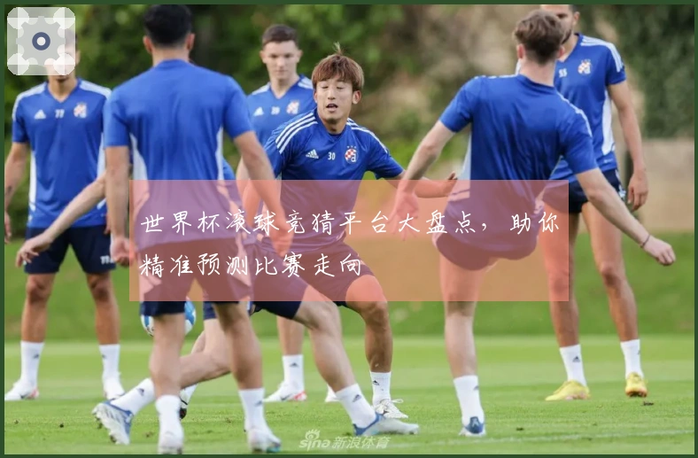 世界杯滚球竞猜平台大盘点，助你精准预测比赛走向