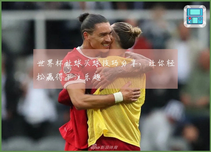 世界杯让球买球技巧分享，让你轻松赢得下注乐趣