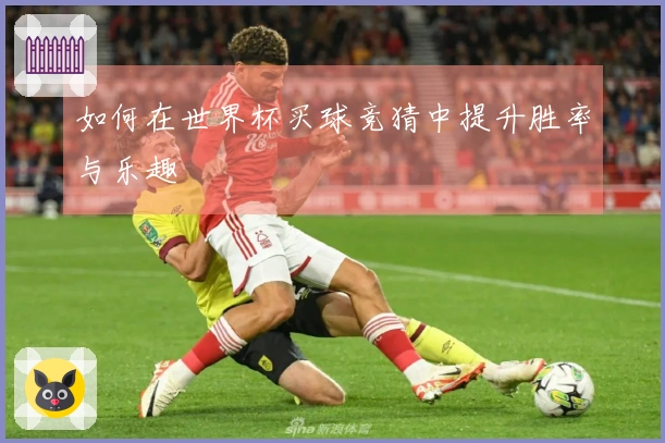 如何在世界杯买球竞猜中提升胜率与乐趣
