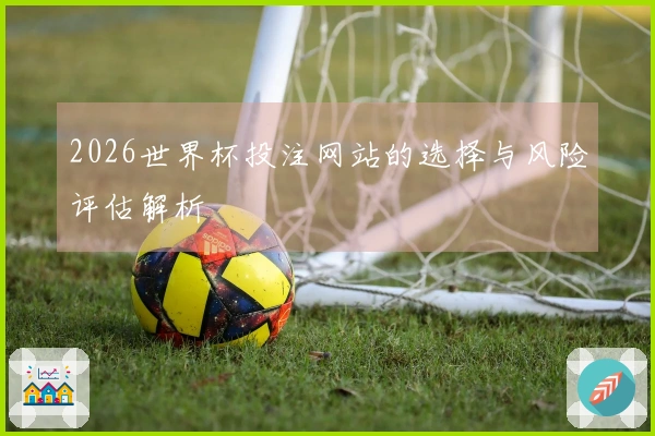 2026世界杯投注网站的选择与风险评估解析