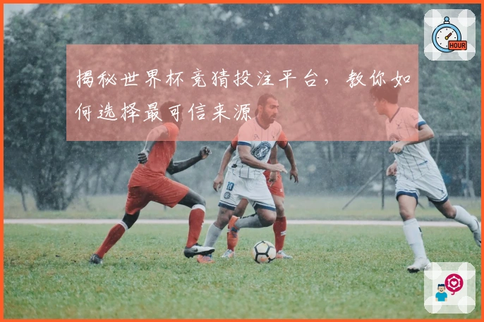 揭秘世界杯竞猜投注平台,教你如何选择最可信来源