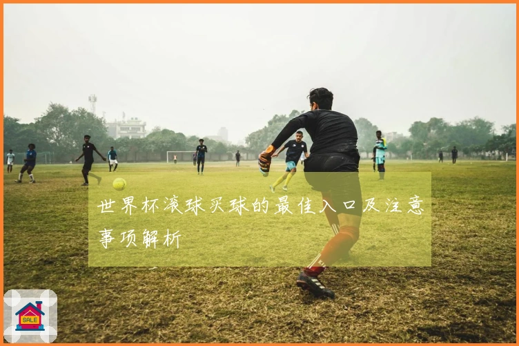 世界杯滚球买球的最佳入口及注意事项解析