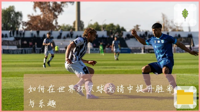如何在世界杯买球竞猜中提升胜率与乐趣